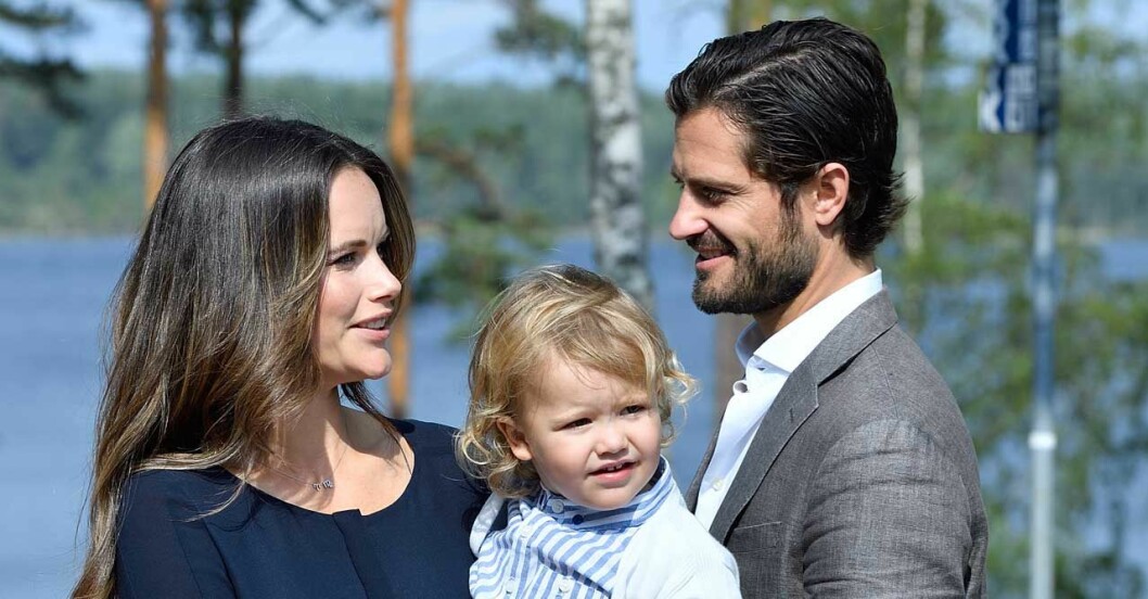 Blir prins Alexander den framtida slottsherren? Chanserna är goda – han är ju hertig av Södermanland. Prins Alexander, hertig av Södermanland, med prins Carl Philip och prinsessan Sofia.