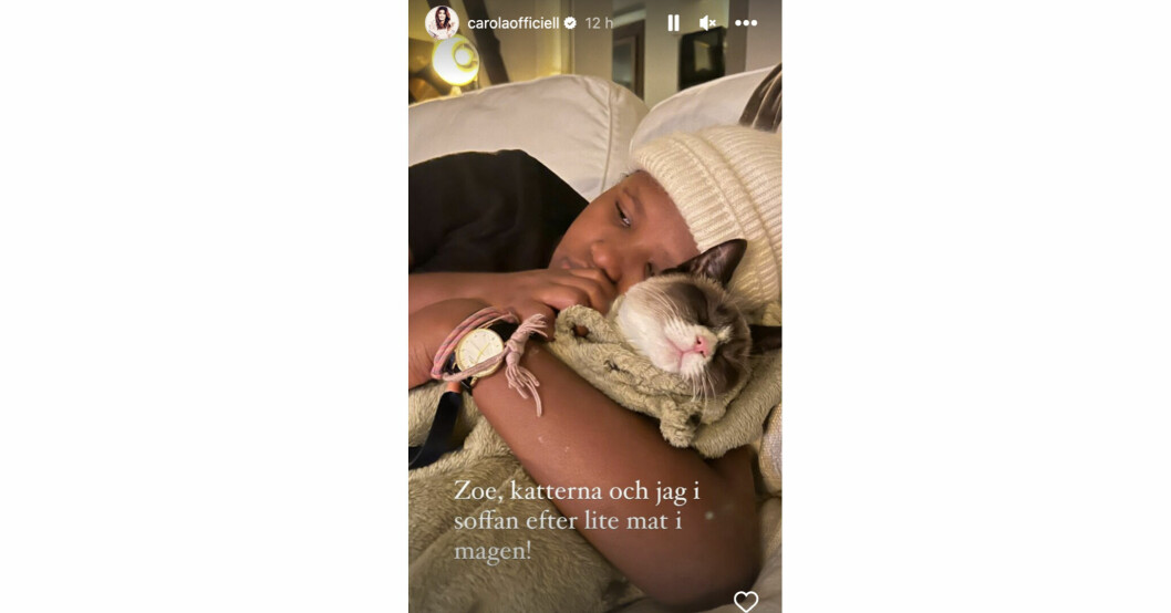 Zoe med en av familjens nya katter – så mysigt! Zoe Häggkvist