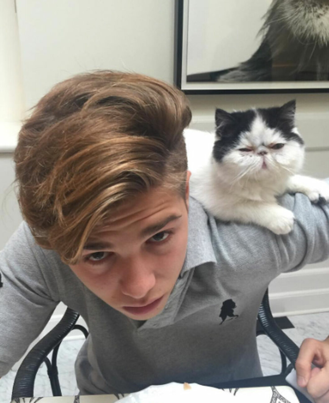 cat, MC , sky