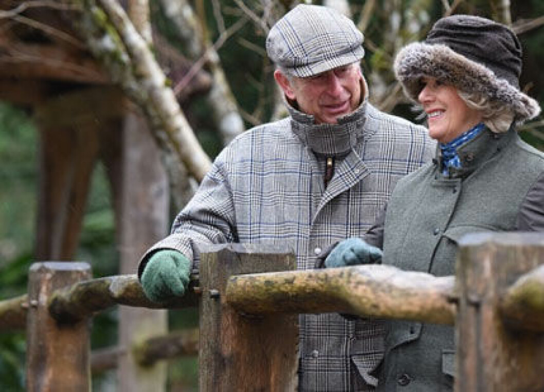 charles-camilla