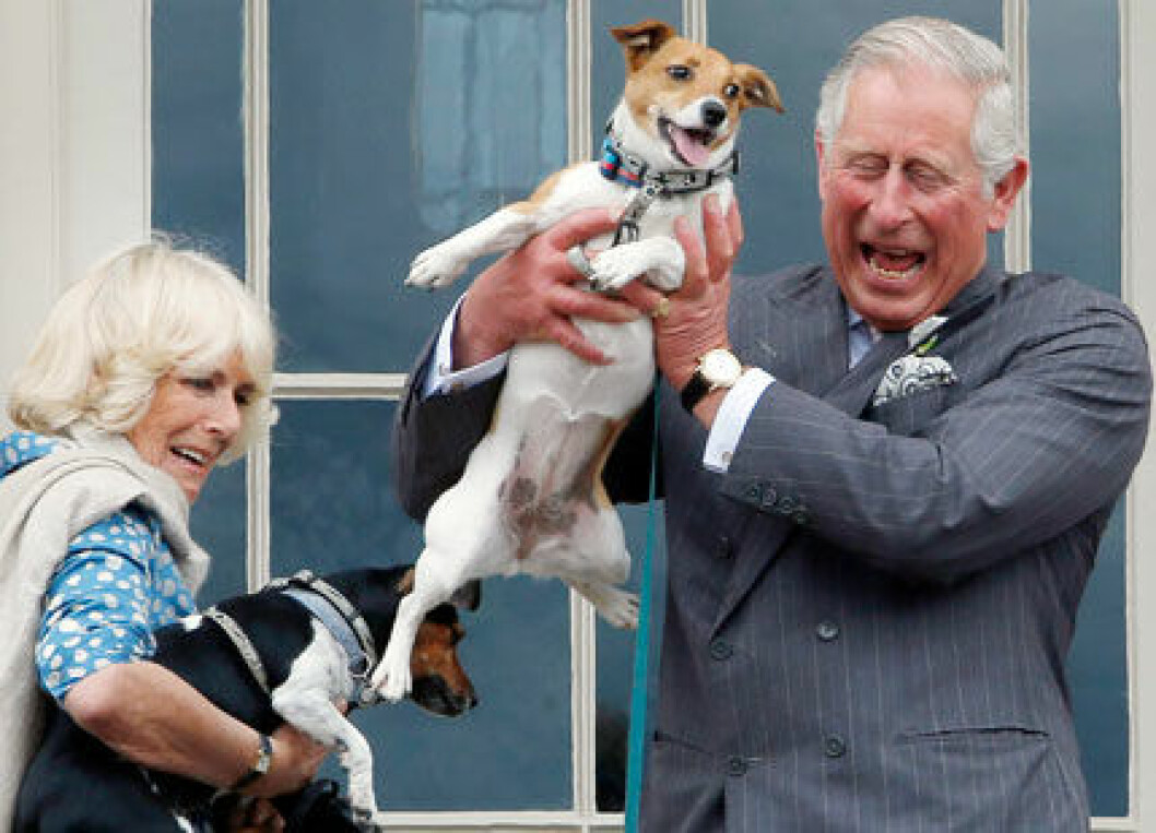 charles-camilla-ibl-1