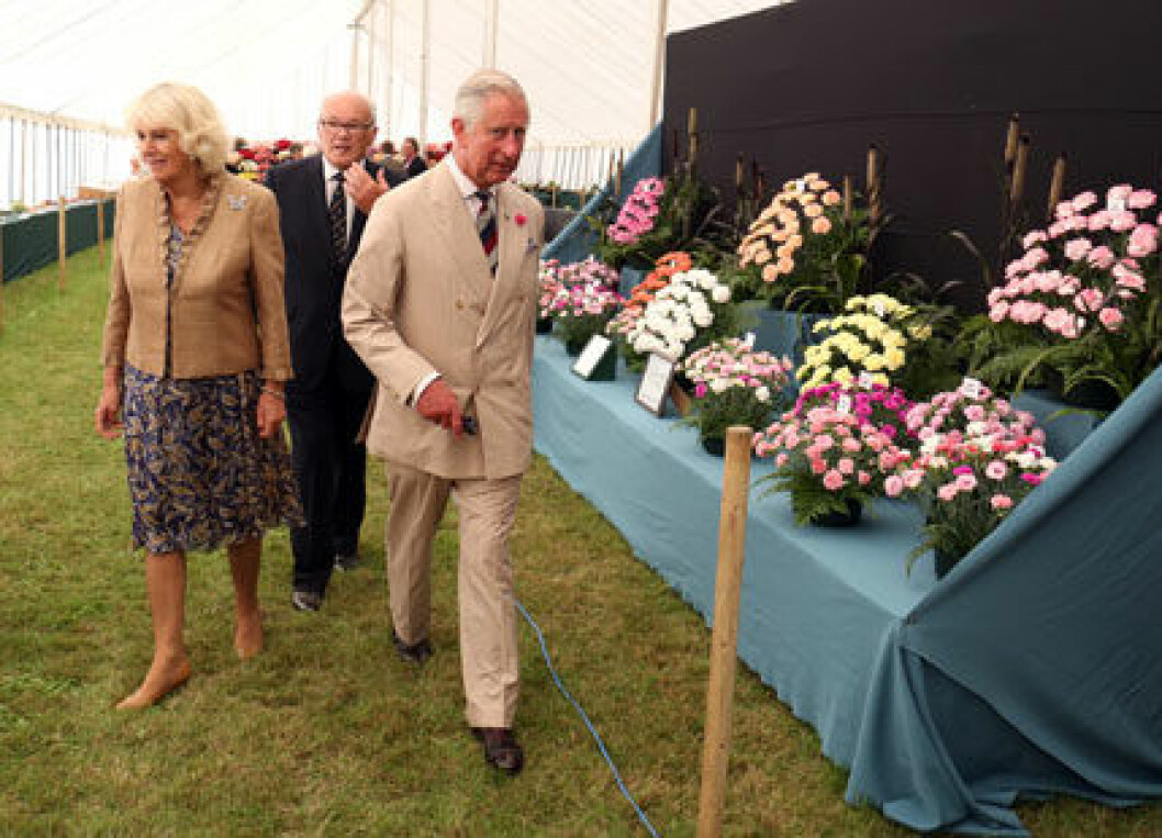 charles-camilla-ste