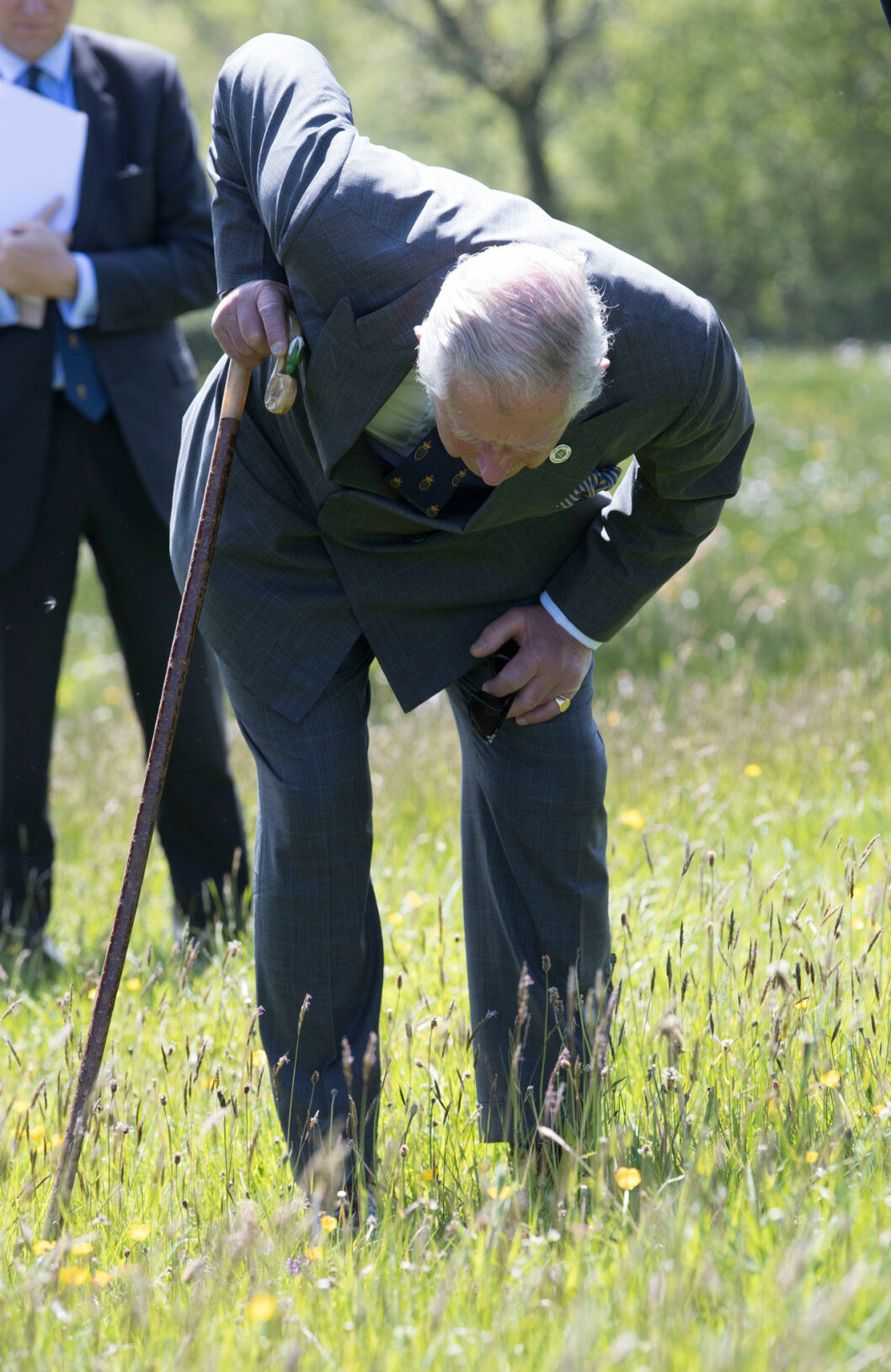Men, vad är det här? Prins Charles är van skräpplockare och har överfört den rena vanan på sina barn. Men, vad är det här? Prins Charles är van skräpplockare och har överfört den rena vanan på sina barn.