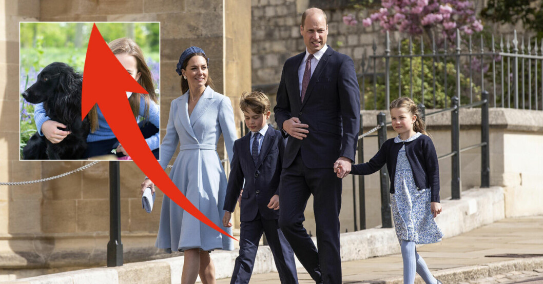 Nya bilden på prinsessan Charlotte – alla reagerar på den kusliga detaljen