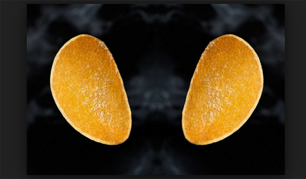 chips