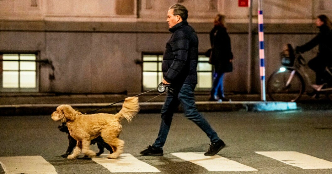 Vid 18.00-tiden på onsdagskvällen tog Chris O'Neill en promenad med hundarna Teddy och Oreo på Östermalm i Stockholm. Foto: Carolina Byrmo/SVENSK DAMTIDNING Chris O'Neill på promenad på Östermalm i Stockholm med hundarna Teddy och Oreo