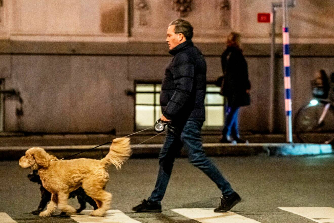 Chris O'Neill på promenad med hundarna Teddy och Oreo i Stockholm