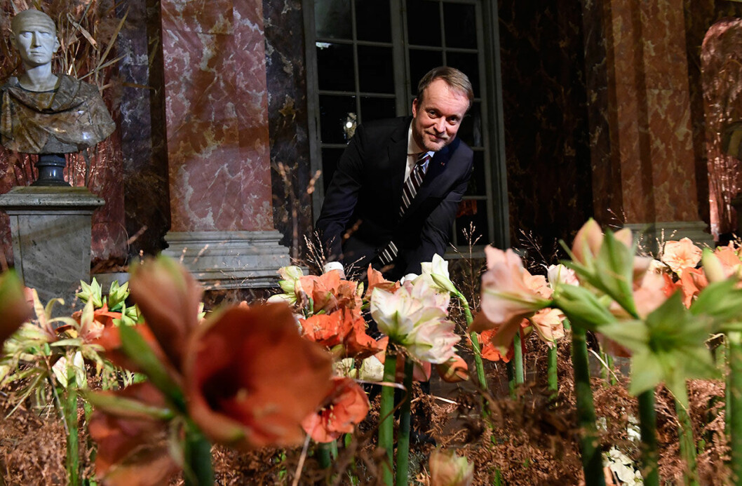 Claes Classon hovflorist