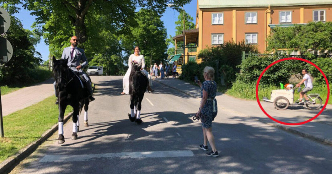 Prins Carl Philip, prins Alexander och prins Gabriel rullade in i Angelines och Jonathans bröllopsbild! Prins Carl Philip, prins Alexander, prins Gabriel