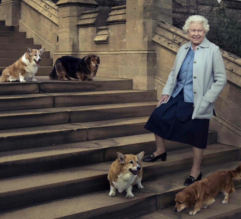 Stjärnfotografen Annie Leibowitz berömda bild från 2016 på drottningen med sina hundar. Men nu har hon bara en av dem kvar. Drottning Elizabeth 2016 Corgies Corgiehundar Hundar
