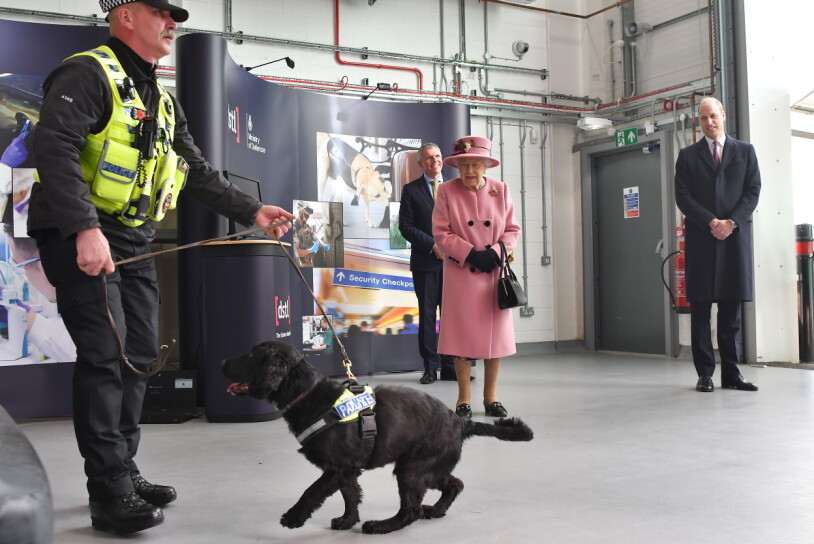 Bomb-spanieln Max, en av dagens höjdpunkter. Drottning Elizabeth bombhund
