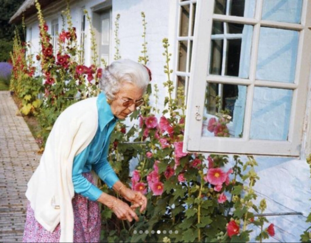 Ingrid i sin slottsträdgård 1980. Drottning Ingrid på Gråsten