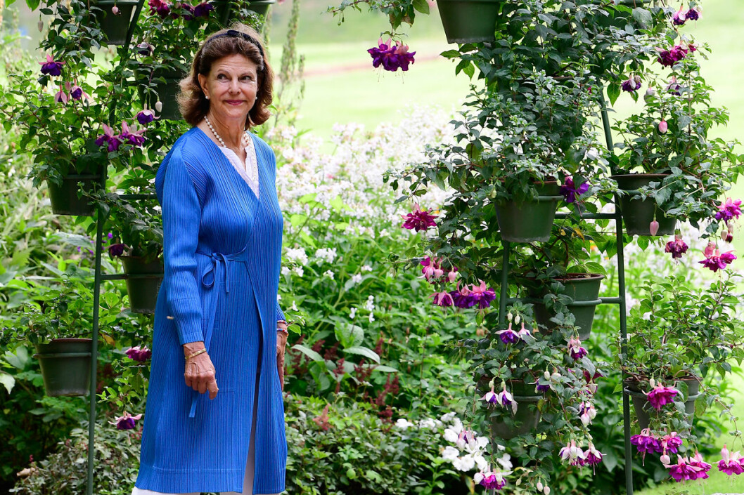 Senaste glimten av drottning Silvia, en härlig augustidag i trädgården på Solliden. Drottning Silvia i trädgården på Solliden.
