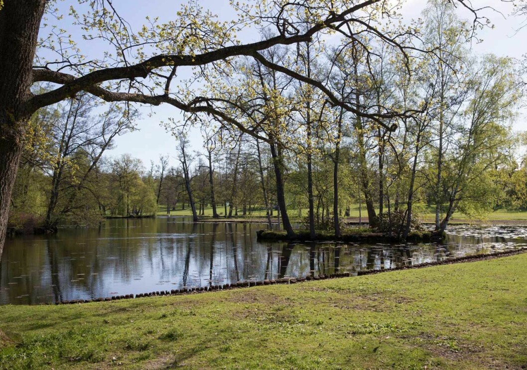 – Kungen har länge haft en dröm om att bygga en liten paviljong på en öarna i Engelska parken, säger slottsfogden Stefan Wirtén. Den lilla ön Ormholmen på Drottningholm är ett riktigt hundparadis.