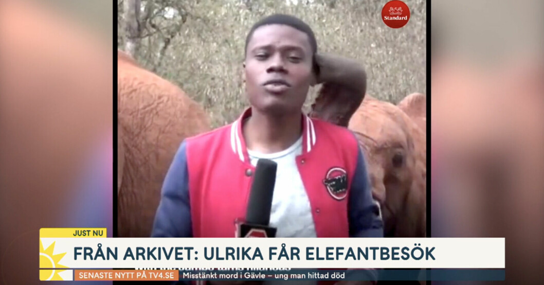 Ett skojigt elefant klipp visas upp i Nyhetsmorgon! Nyhetsmorgon