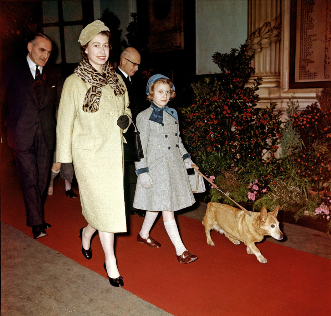 Prinsessan Anne