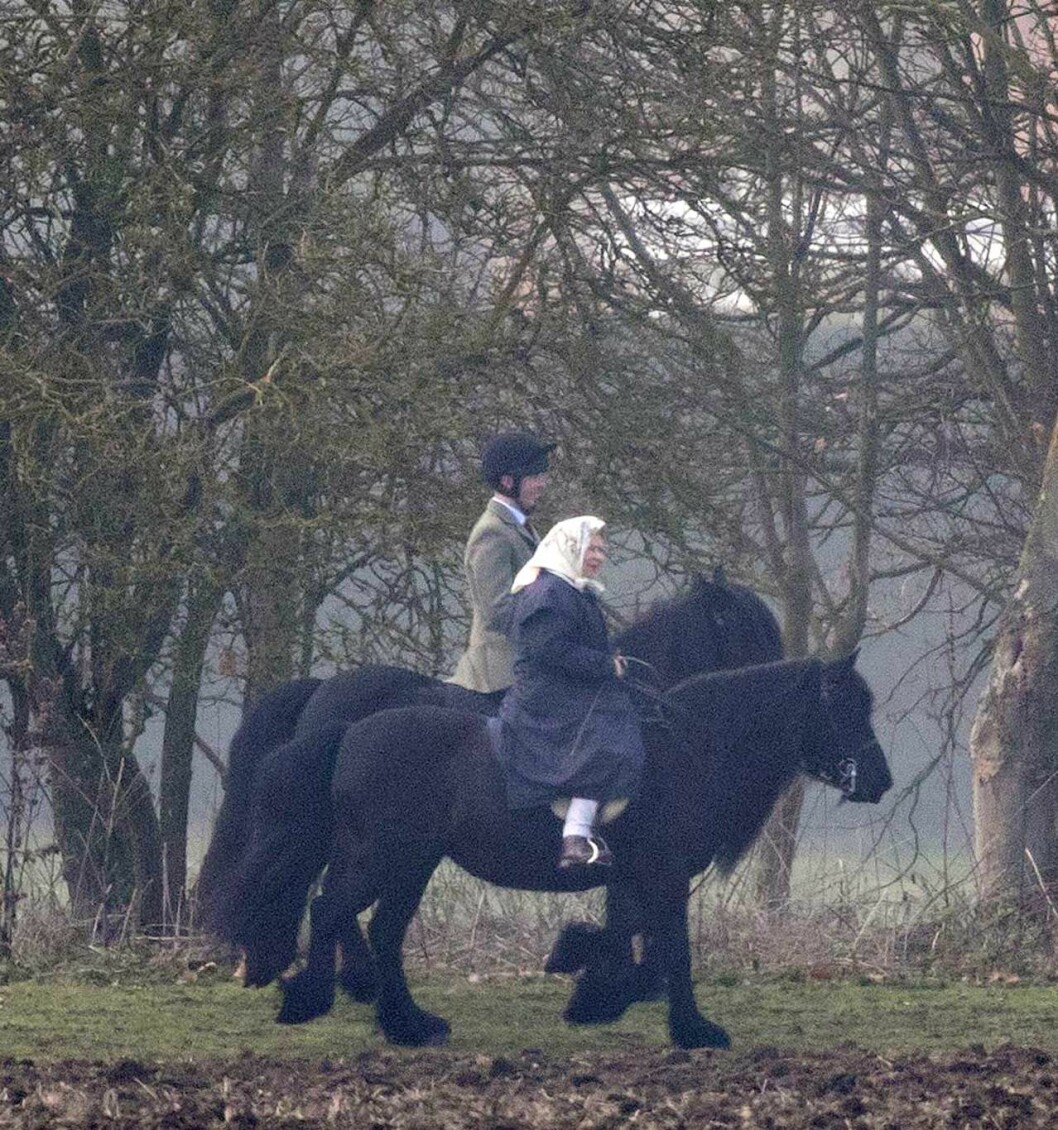 Prins Andrew och drottning Elizabeth på hästryggen. Prins Andrew och drottning Elizabeth på hästryggen.