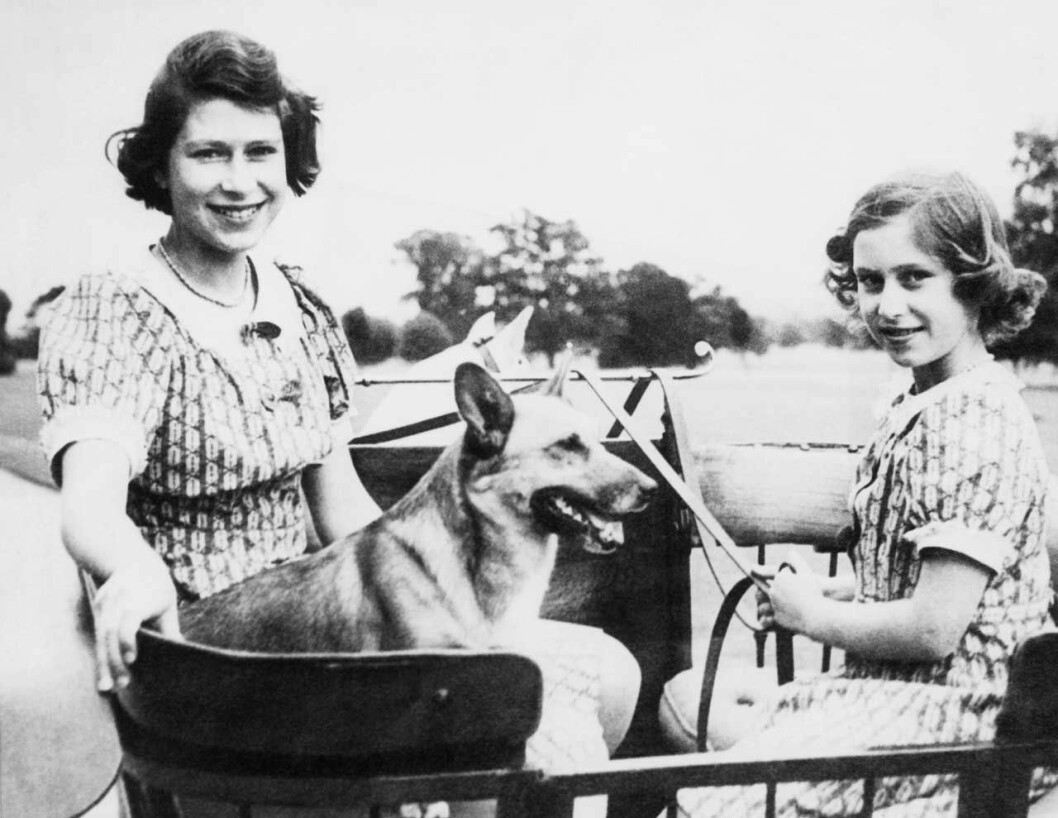 Drottning Elizabeth har älskat hundar sedan hon var liten. Drottning Elizabeth har älskat hundar sedan hon var liten.