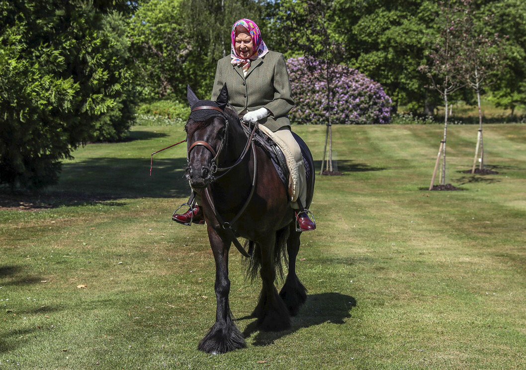 Drottningen rider på 14-åriga Balmoral Fern hemma på Windsors ägor.