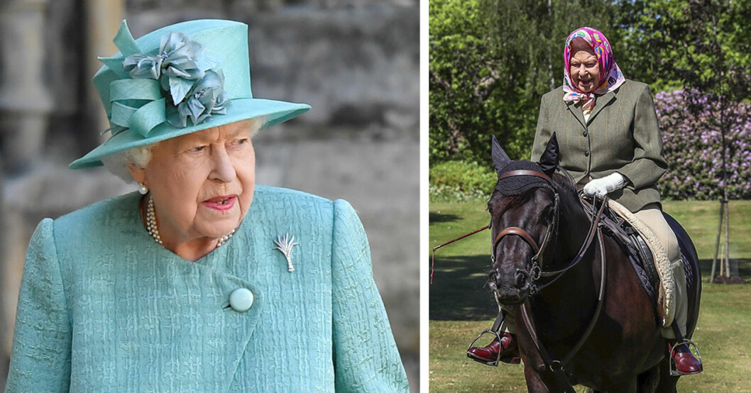 Grässjuka drabbar drottning Elizabeth hästar