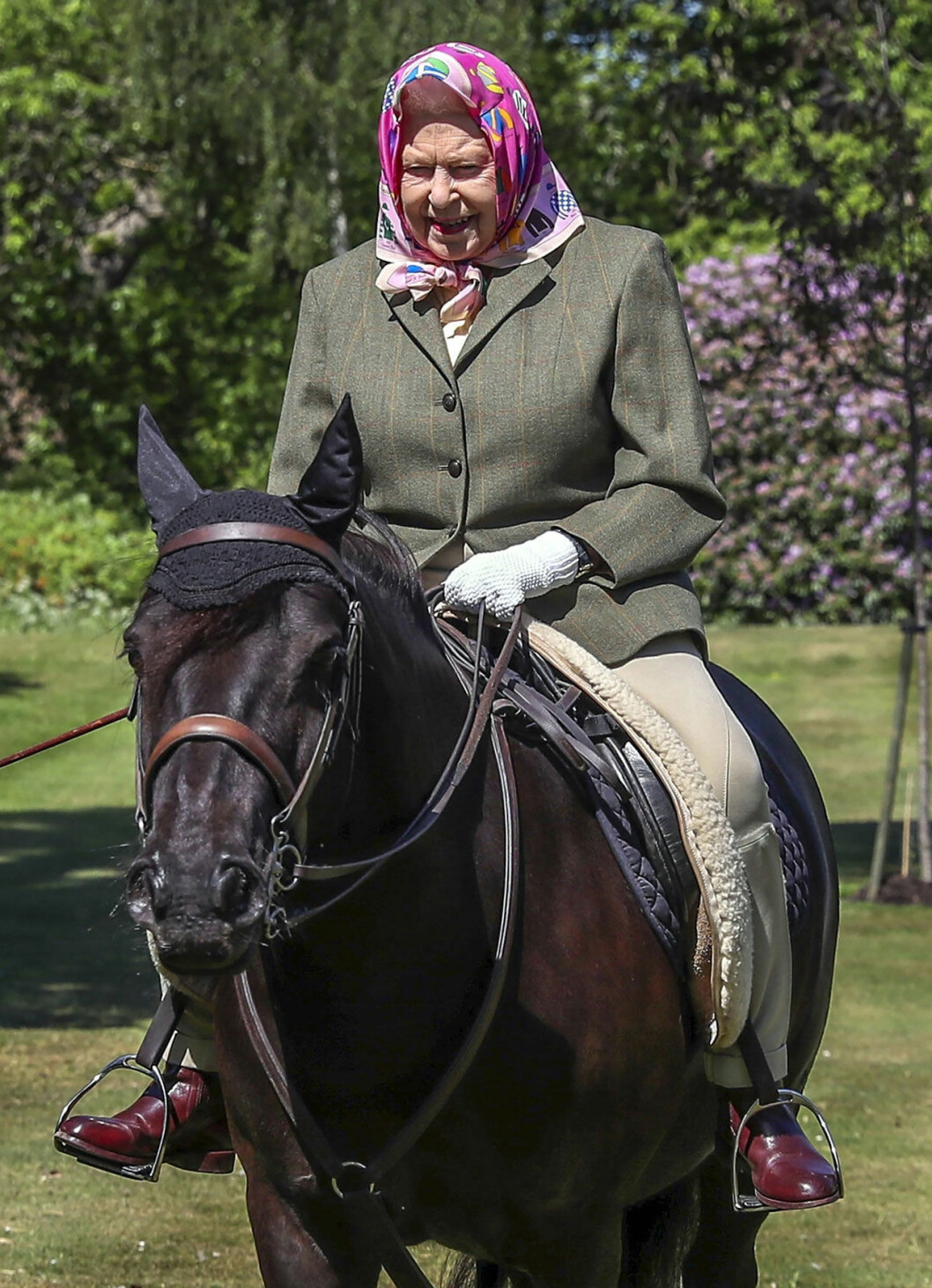 Drottning Elizabeth kommer skrittande i den gassande försommarsolen på Windsor. Drottning Elizabeth rider på Windsor 2020
