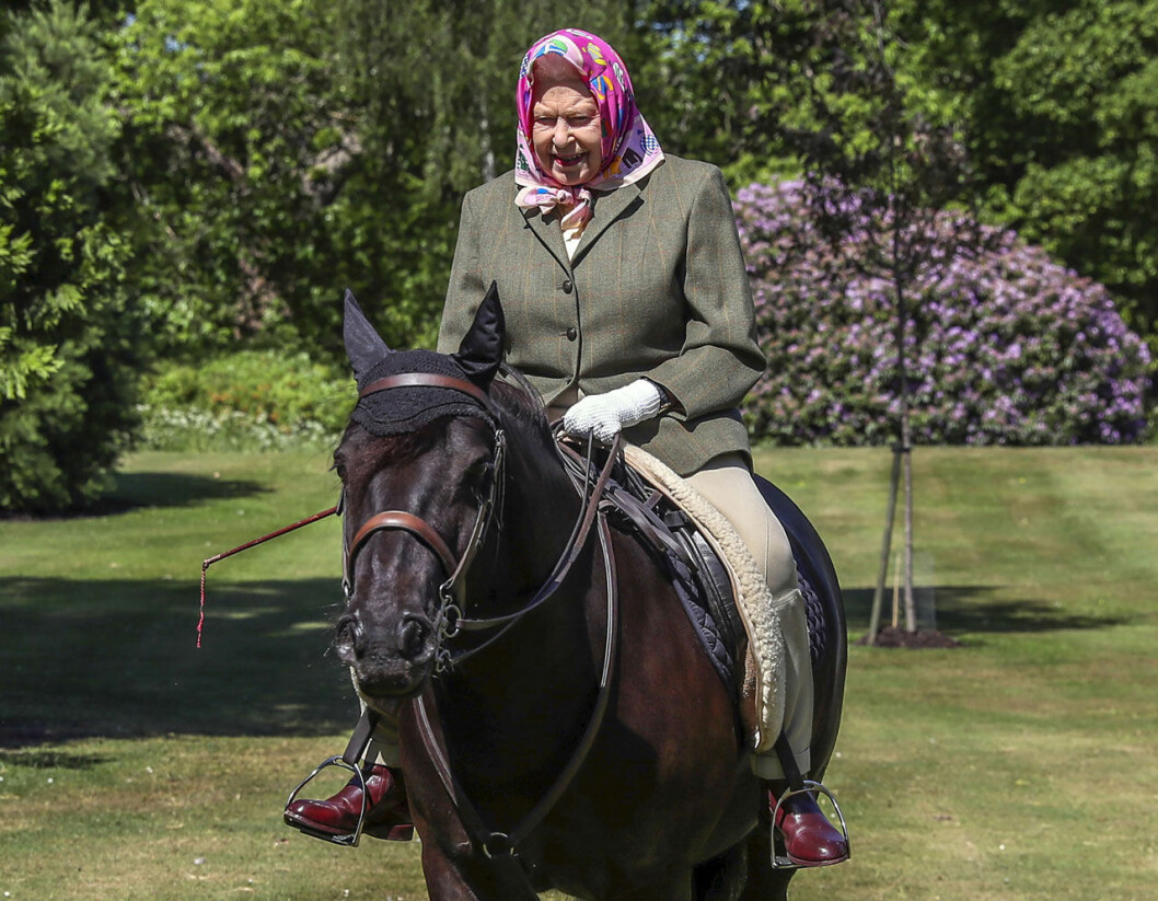 Drottning Elizabeths uppmärksammade ridtur i helgen: det var första gången hon syntes i offentligheten på tio veckor. Drottning Elizabeth rider på Windsor 2020