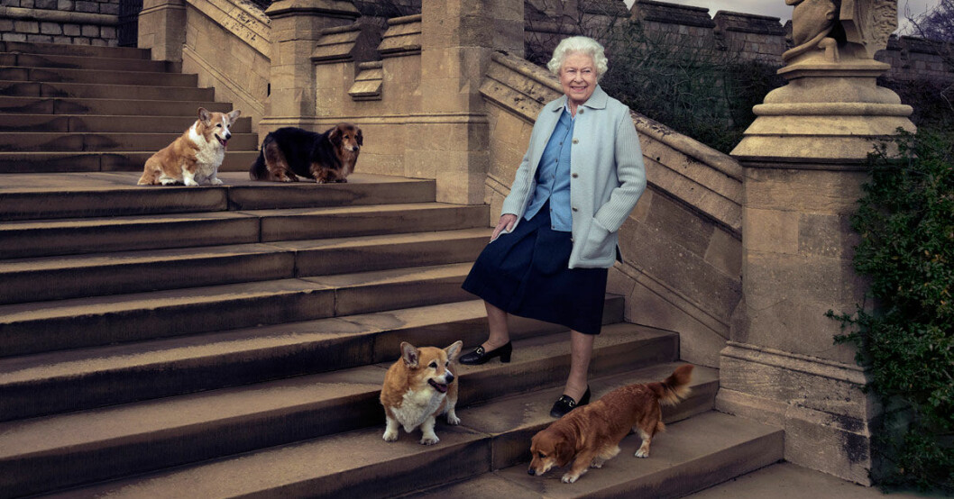Drottning Elizabeth i sorg – mest älskade hunden död