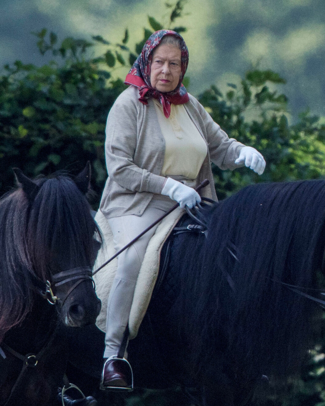Oj! Det är ovant att se drottning Elizabeth i byxor. Men detta är en av guldkanterna i hennes corona-skyddade liv: Så gott som varje morgon rider hon favoritponnyn Carltonlima Emma i slottsparken. Och dit körs hon i en extremt väldesinficerad grön Jaguar. Drottning Elizabeth rider på Windsor.