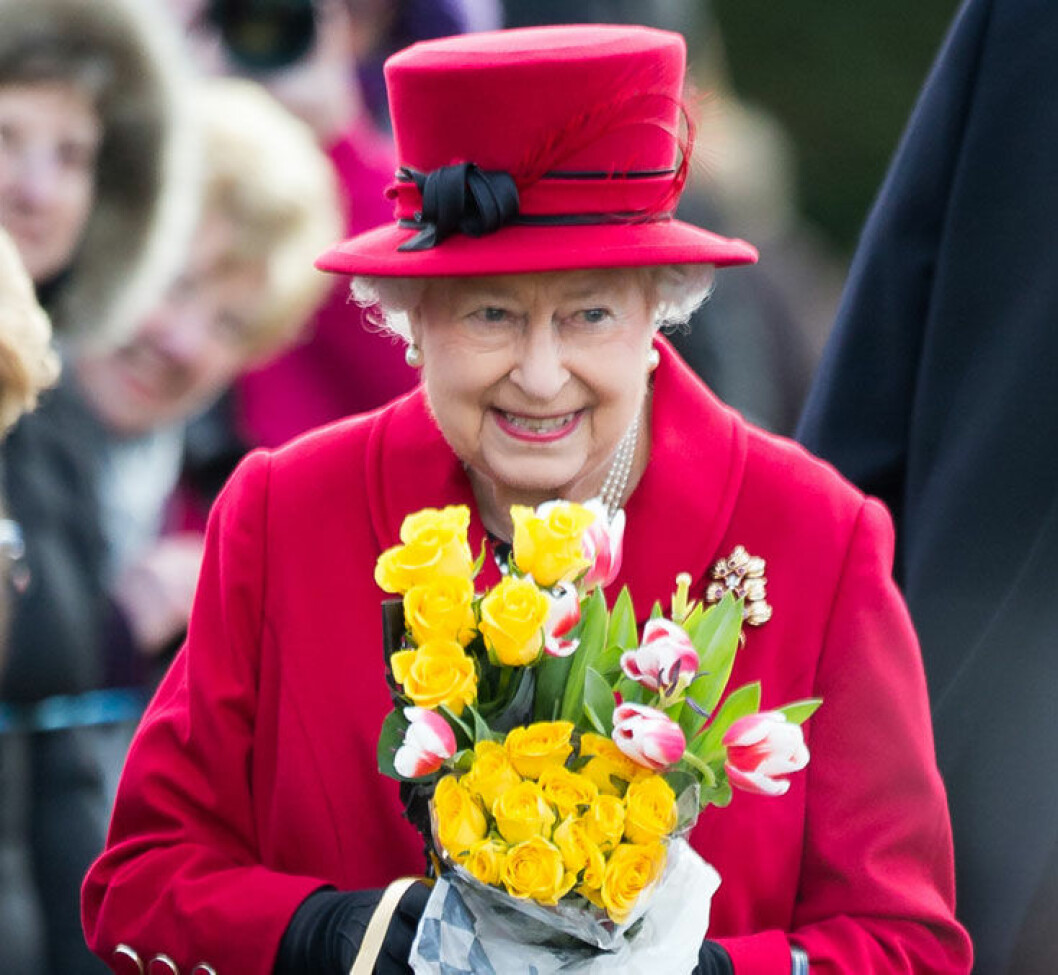 elizabeth-ste