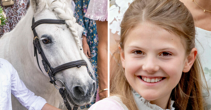 Prinsessan Estelles häst, Welshponnyn Victor