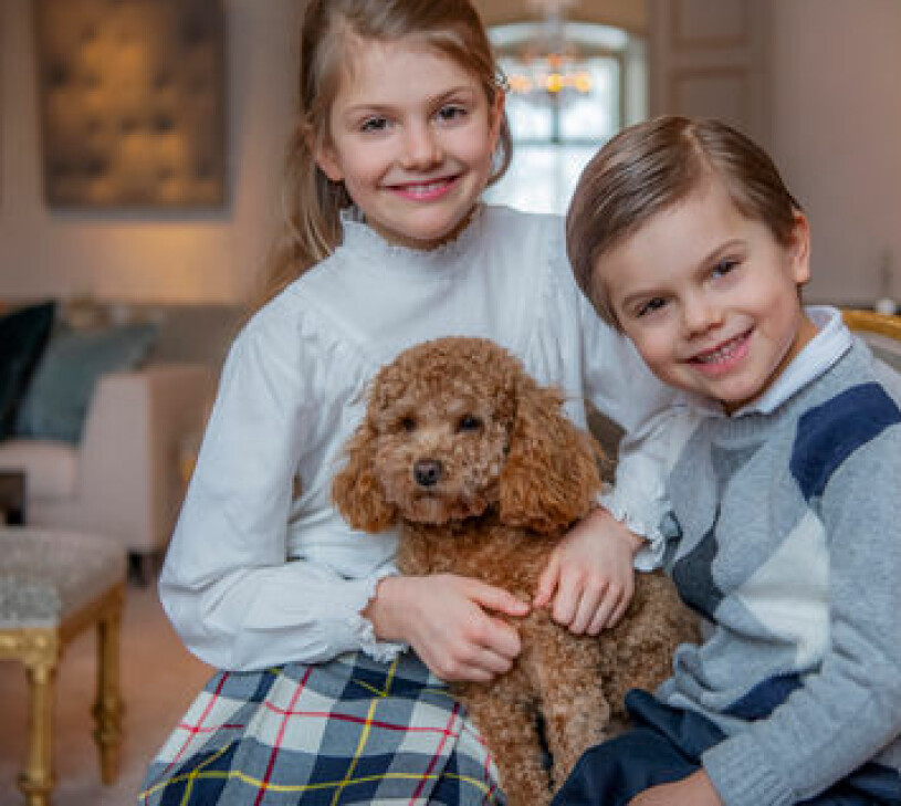Hagahunden Rio, nu ett år, med sin lillmatte Estelle och lillhusse Oscar. Hunden Rio Cavapoo med Prinsessan Estelle och Prins Oscar