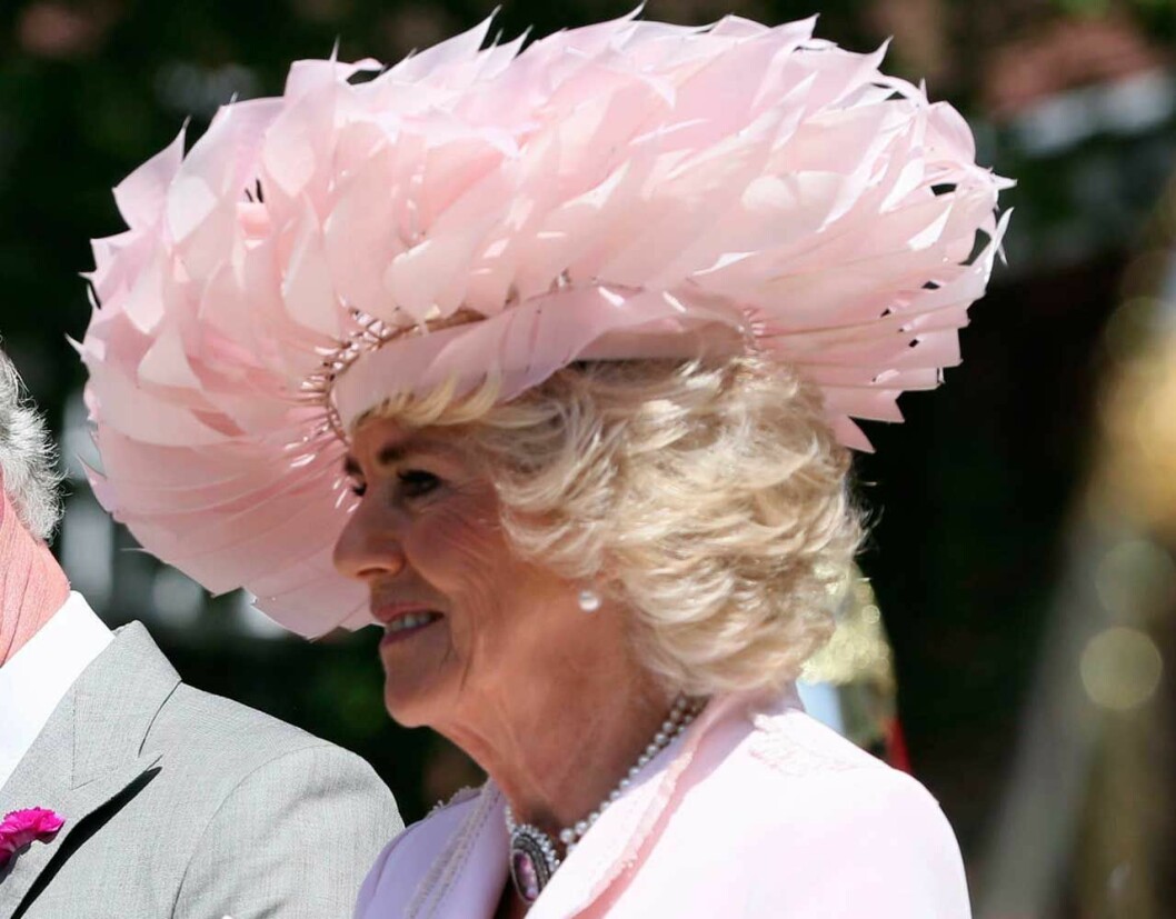 Vi kommer att sakna Camilla på fredag, hennes maffiga hattar är alltid så härligt glamourösa! Prins Charles fru Camilla i en glamourös hatt med rosa svandun.