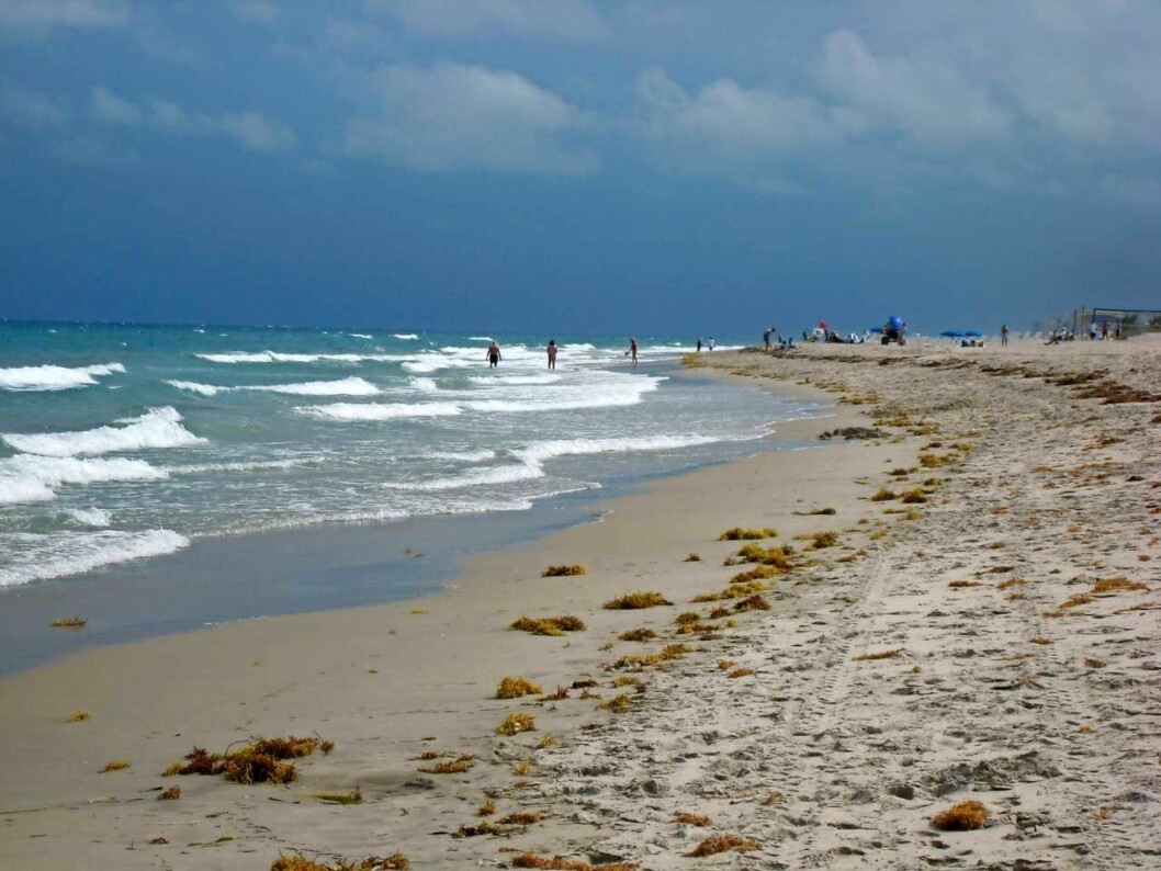 Fort Lauderdale. Fort Lauderdale.