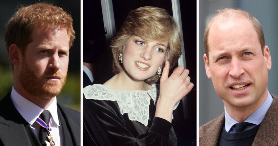 Prins Harry, prinsessan Diana och prins William