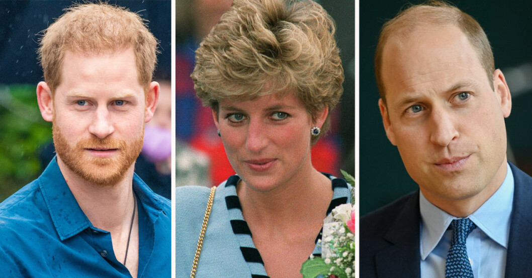 Prins Harry, prinsessan Diana och prins William
