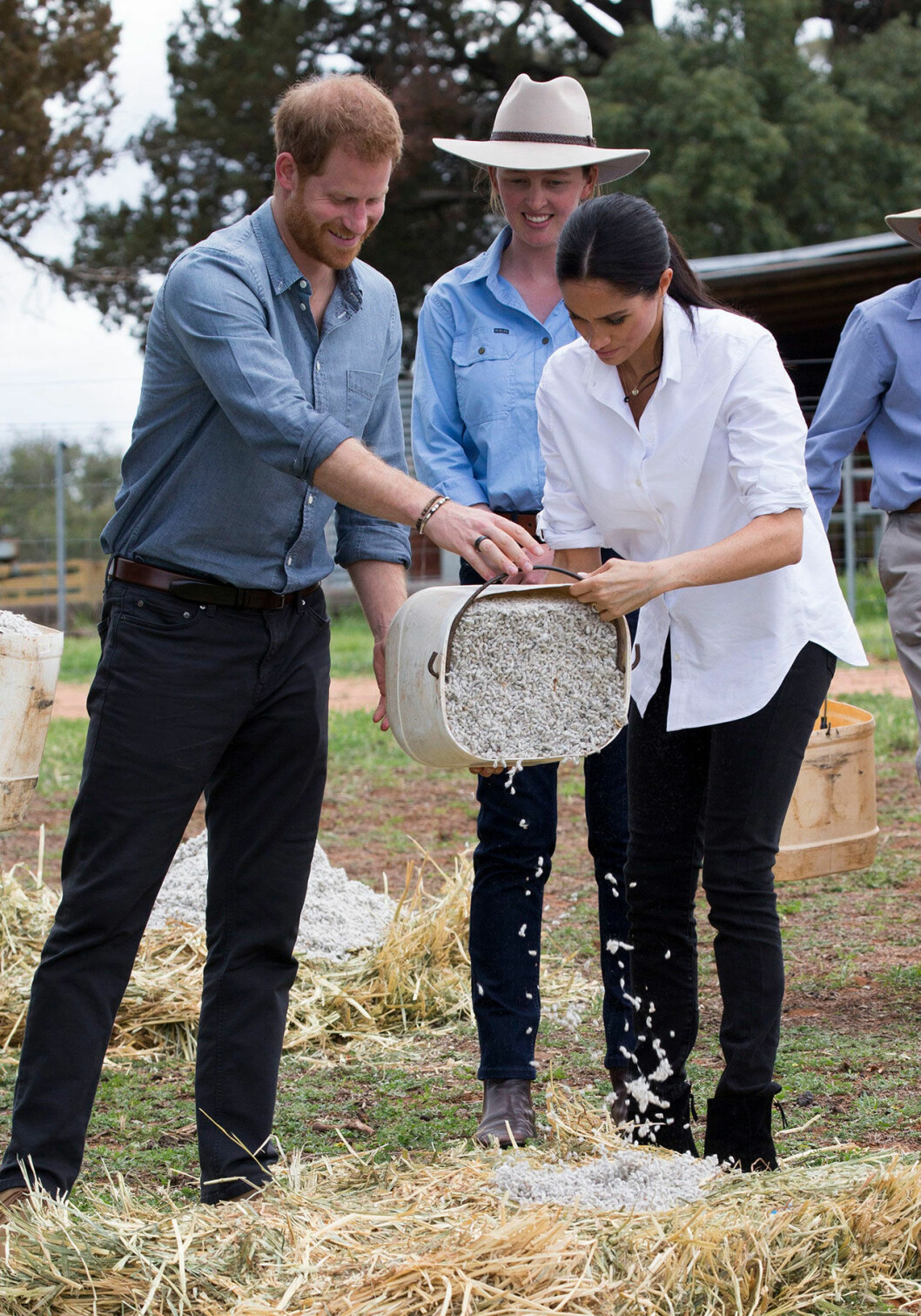 Harry och Meghan besökte en gård.