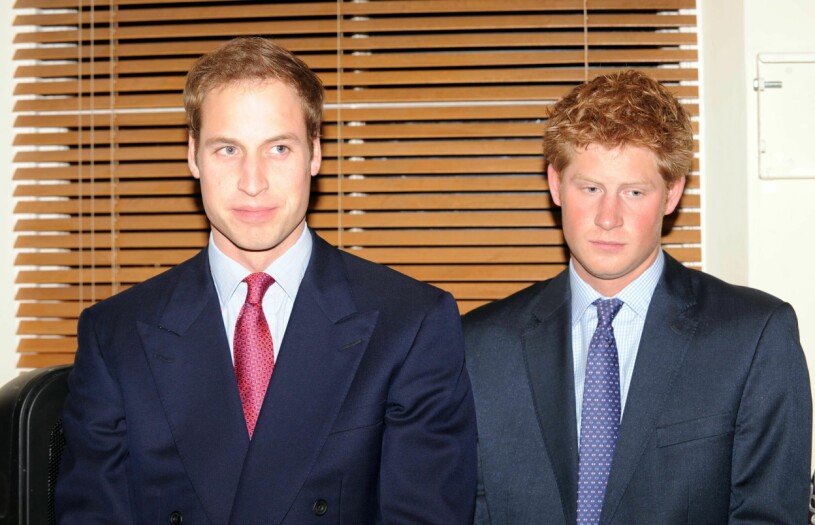 Prinsarna när de lanserade minnesinsamlingen 2009. Prins William och prins Harry 2009