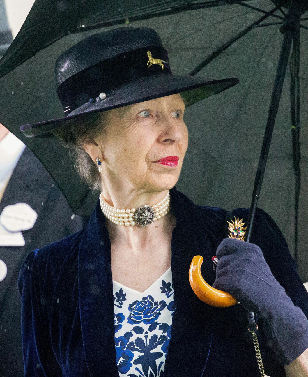 Prinsessan Anne