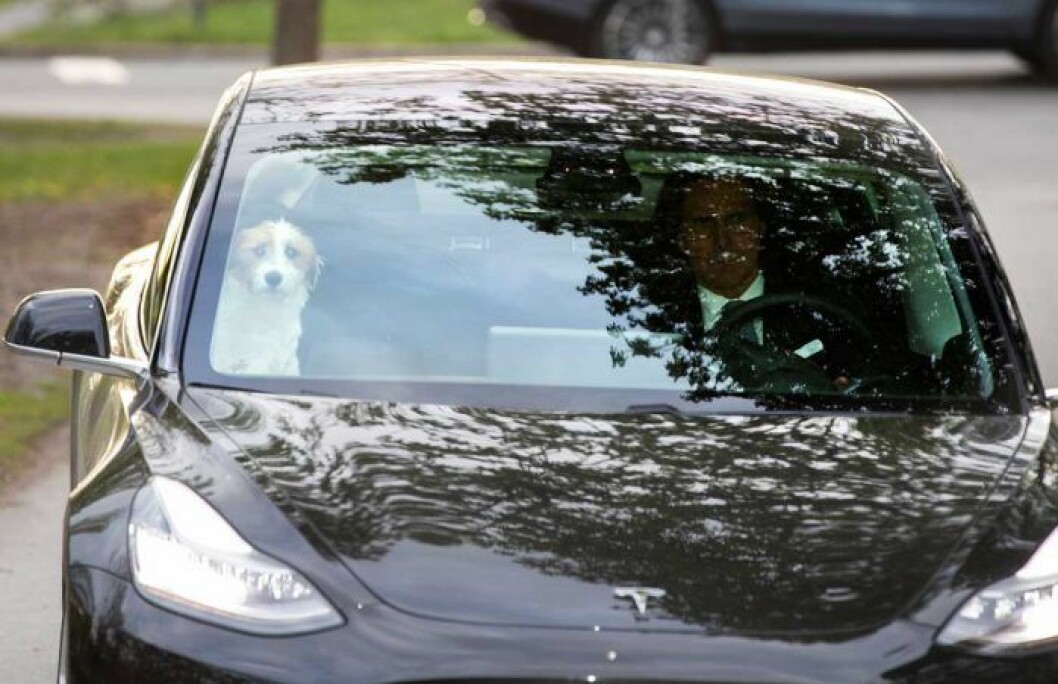 Patrick Sommerlath med sin nya bästis! En gullig jack russel. Ny hund kungafamiljen patrick sommerlath tesla