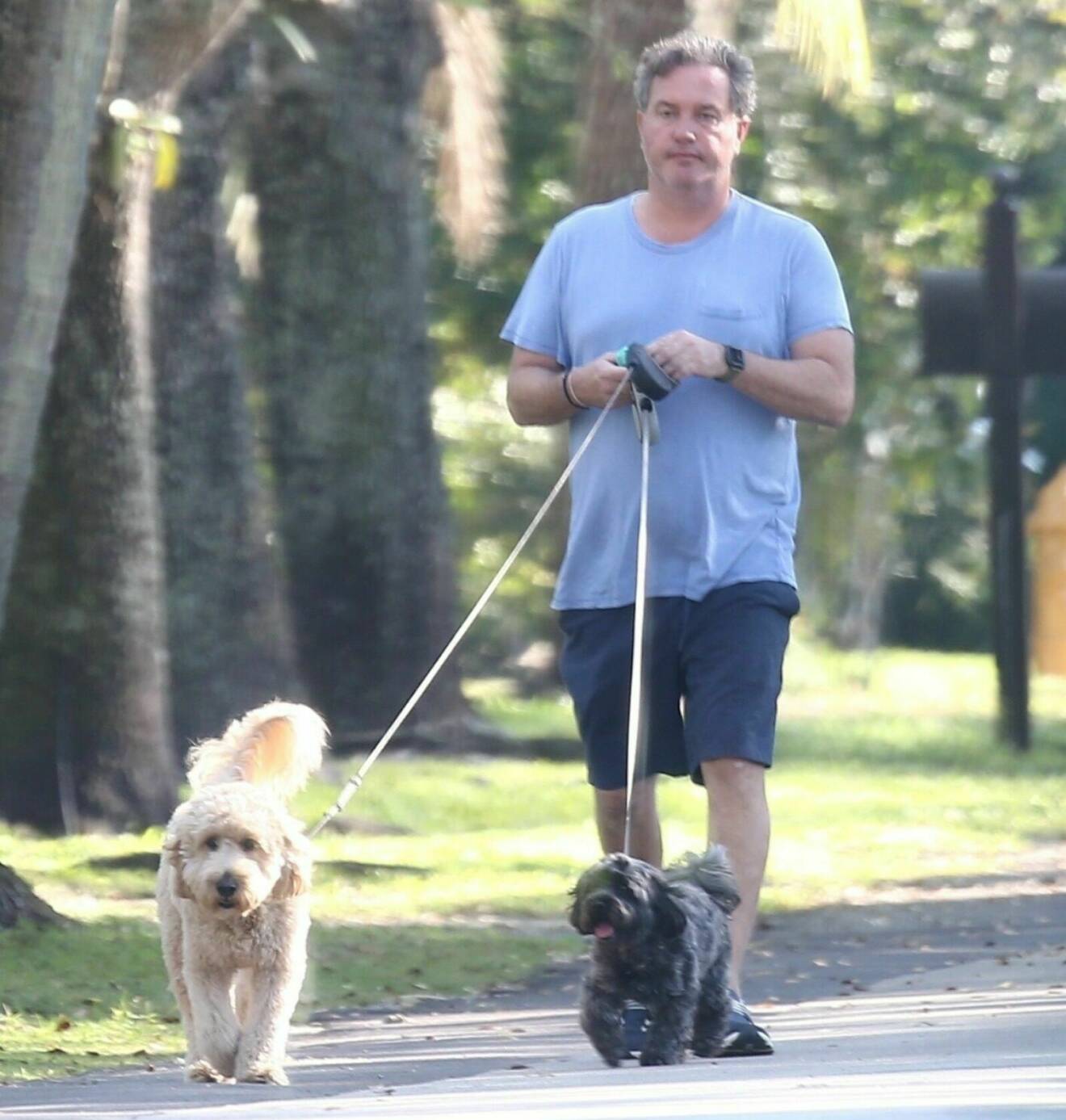 Chris O'Neill ute på promenad med hundarna Teddy och Oreo