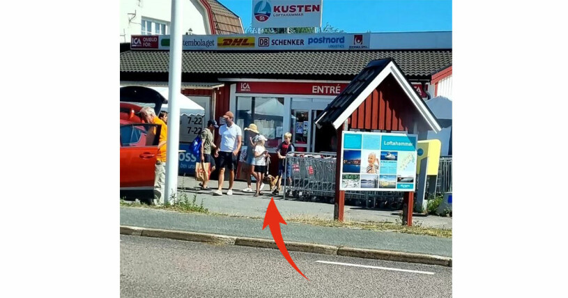 Hunden Rio var med på Loftahammar! Foto: Privat/Jörgen Ritterstrandh Hunden Rio på Loftahammar