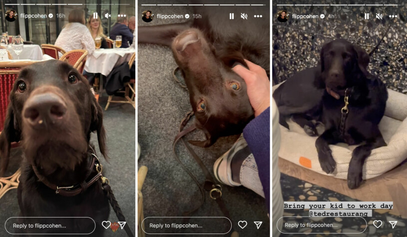 Phillipe Cohen är så glad i sin hund Ted! Foto: <a target="_blank" href="https://www.instagram.com/flippcohen/?hl=en">Instagram/flippcohen</a> Phillipe Cohens hund Ted