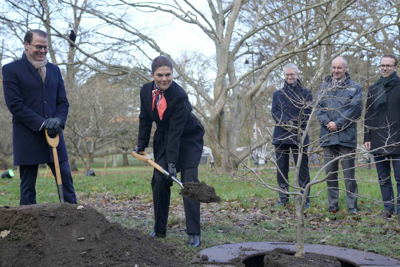 Kronprinsessan Victoria och prins Daniel planterar träd i Kew Gardens i London 2023