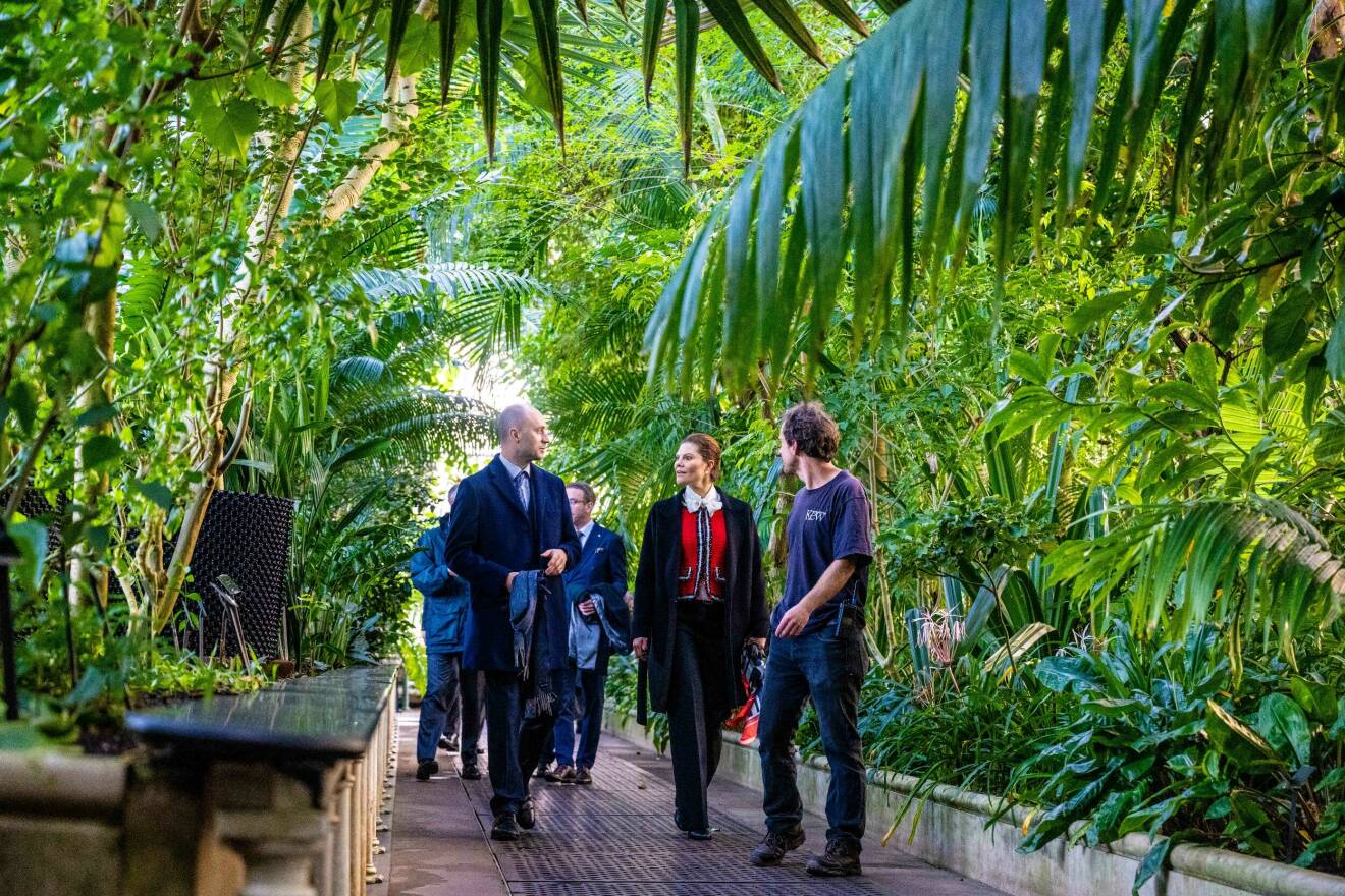 Kronprinsessan Victoria och prins Daniel i palmhuset i Kew Gardens i London