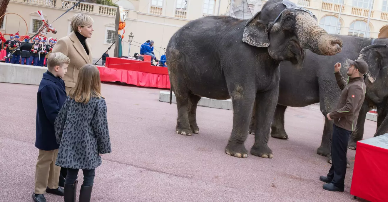Furstinnan Gabriella, prins Jacques och prinsessan Gabriella tittar på elefanter