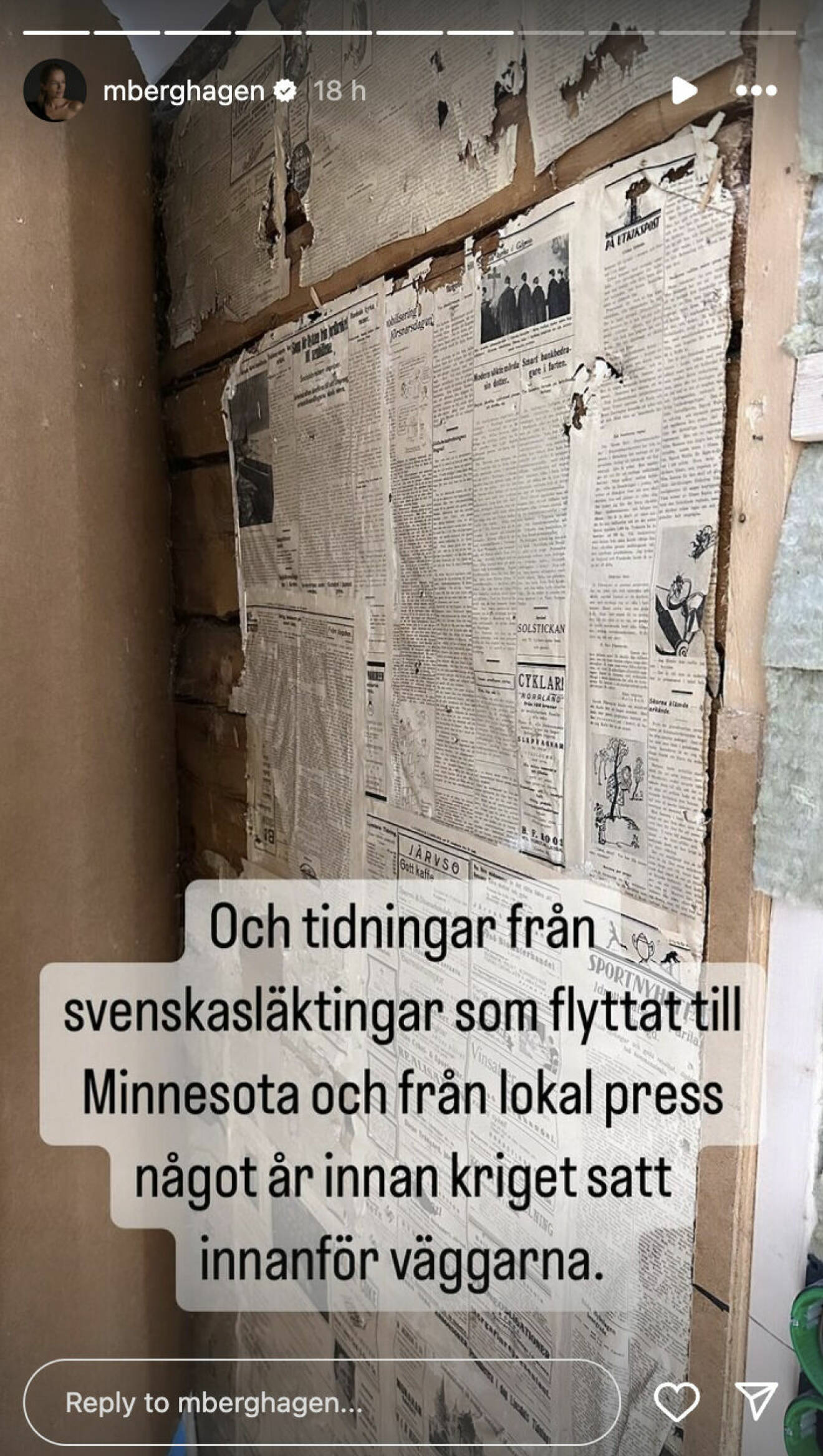 Skärmdump från Malin Berghagens Instagram-story, där hon visar upp renoveringen av ett skafferi