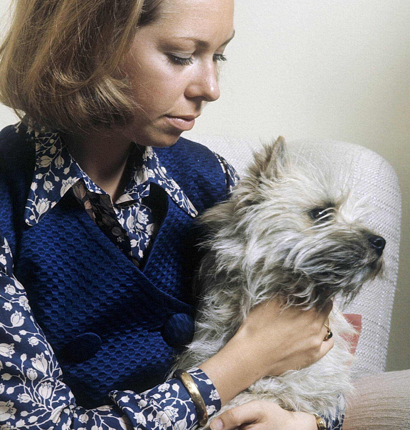 Hunden som prinsessan Christina hade på 1960-talet – en terrier