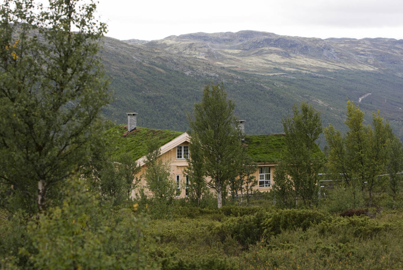 Huset i Uvdal där kronprins Haakon och kronprinsessan Mette-Marit ska fira påsken 2024
