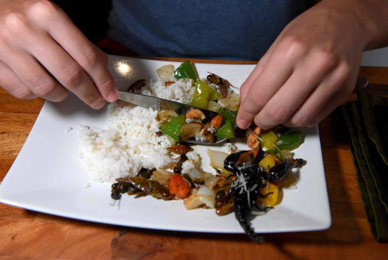En bild på en tallrik mat, föreställandes en grönsaksrätt med insekter och skorpioner