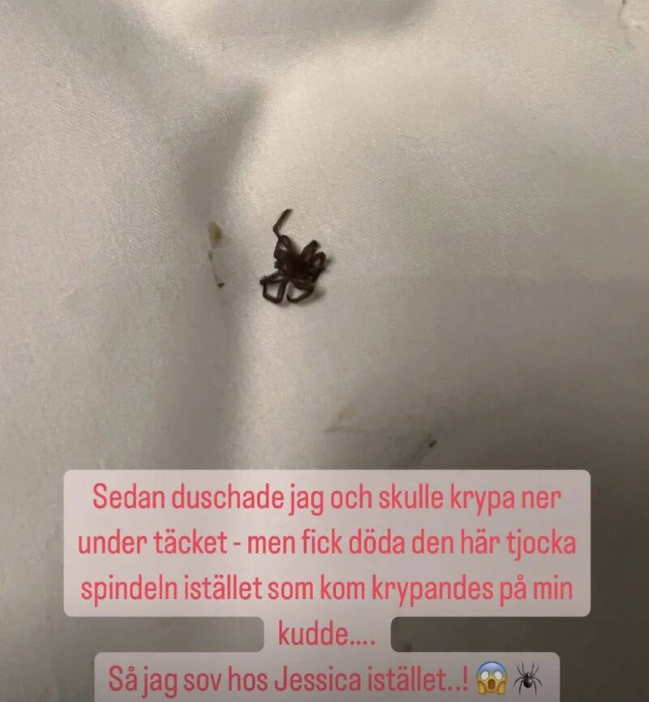 Pernilla Wahlgren hittar en spindel